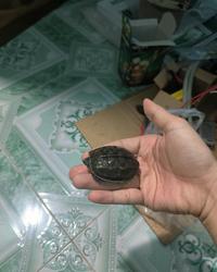 Thumbnail IMG_20221123_145333.jpg