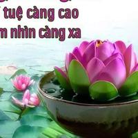 Avatar of user - Vu Gia Tuong