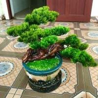 Avatar of user - Acesang