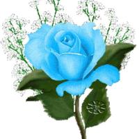 Avatar of user - Sandy Nguyen