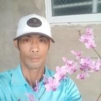 Avatar of user - Hoang Tan