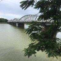 Avatar of user - Nghi Nguyen