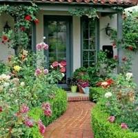 Avatar of user - Kimanh