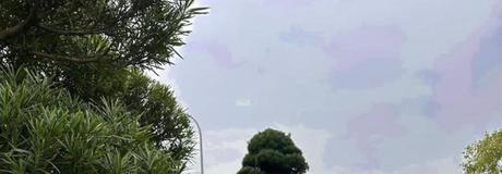 Hẹn hò online - Hình cover của Huyenmy1990hd