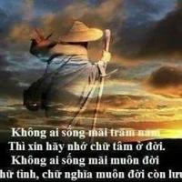 Avatar of user - Sao Đổi Ngôi