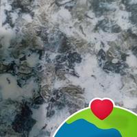 Avatar of user - Man Nguyên