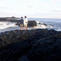 Avatar of user - Ngân Đỗ