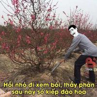 Avatar of user - Đội Xe Đội Xe