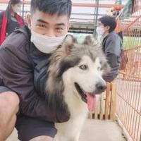 Avatar of user - Sang