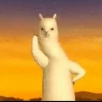 Avatar of user - Nhờ Ân Nhân