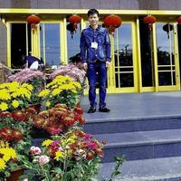 Avatar of user - Vandong Offices