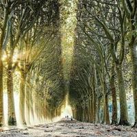 Avatar of user - Baominhtưởngvg