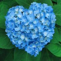 Avatar of user - Trang Trang