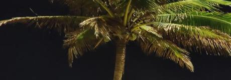 Hẹn hò online - Hình cover của Tâm Trịnh