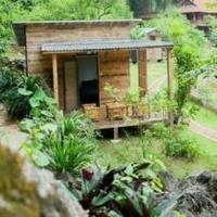 Avatar of user - Patient