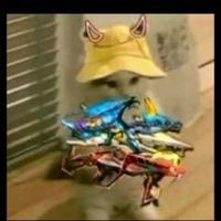 Avatar of user - Lê Đức Thọ