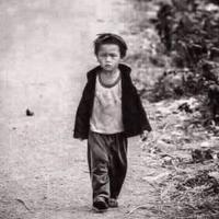 Avatar of user - Lâm Lê