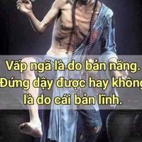 Avatar of user - Nguyen Nguyen