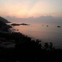 Avatar of user - Qua Hồ