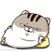 Avatar of user - Nguyễn Đình Quang