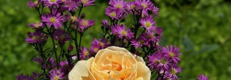 Hẹn hò online - Hình cover của Racxzad