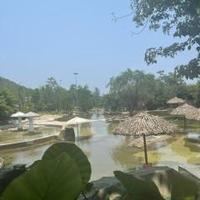 Avatar of user - Việt