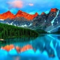 Avatar of user - Tony