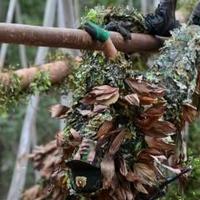 Avatar of user - Rý