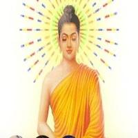 Avatar of user - A Di Đà Phật