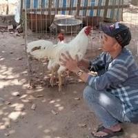 Avatar of user - Nguyễn Hạo Nguyên