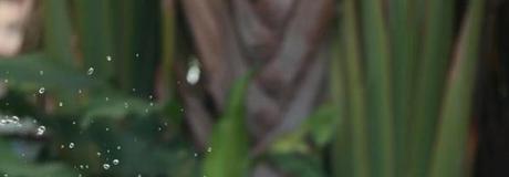 Hẹn hò online - Hình cover của Thanh An