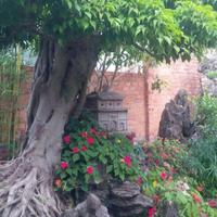 Avatar of user - Luật H.p