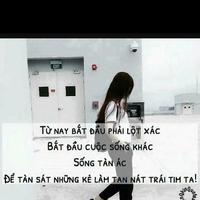 Avatar of user - Truc Ly