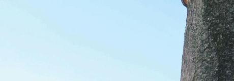 Hẹn hò online - Hình cover của TrẦn ĐÌnh NiÊn