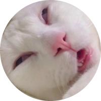 Avatar of user - Vi Anh Bùi