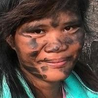 Avatar of user - Ninh Nong