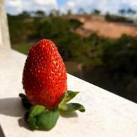 Avatar of user - Châu Nguyên