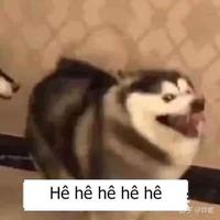 Avatar of user - 22. Trần Đức No-12c3