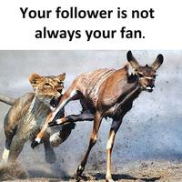 Avatar of user - Thắng Trần