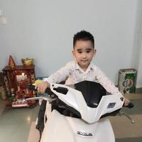 Avatar of user - Việt Lê