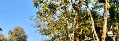 Hẹn hò online - Hình cover của Nguyenly