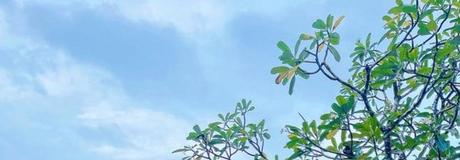 Hẹn hò online - Hình cover của Lulynguyen Ly