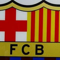 Avatar of user - Phuong Hoang