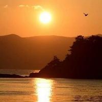 Avatar of user - QuÁch NguyỄn Gia Huy