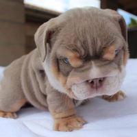 Avatar of user - Cường Nguyễn