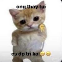 Avatar of user - Thư Trương