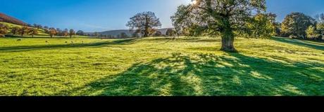 Hẹn hò online - Hình cover của Thành