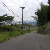 Avatar of user - Truong Ti