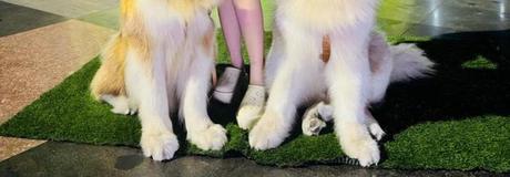 Hẹn hò online - Hình cover của Trinh