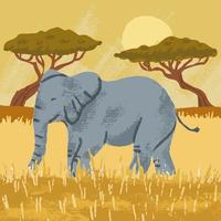 Avatar of user - Tuan Thanh